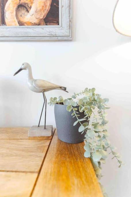 Watersedge Retreat, Views, Sunsets, Dogs Welcome Sandside  Esterno foto